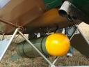 DSC00874.JPG